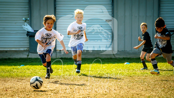 Action Shots Mini World Cup (14)