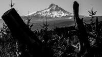 B&W Mt. Hood 2