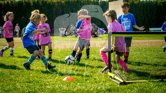 Action Shots Mini World Cup (17)