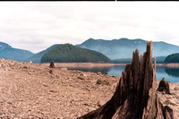 film 12