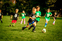 Action Shots Soccer Minis (4)