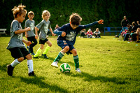 Action Shots Soccer Minis (7)