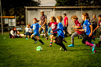 Action Shots Soccer Minis (11)