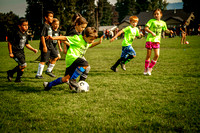 Action Shots Soccer Minis (13)