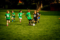 Action Shots Soccer Minis (14)