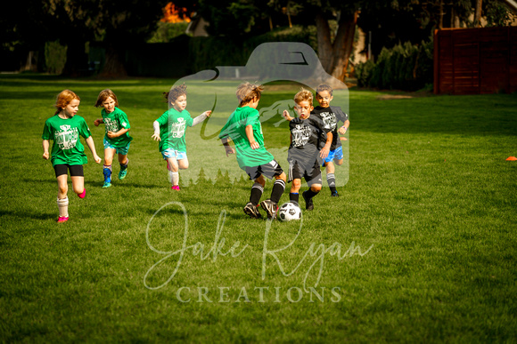 Action Shots Soccer Minis (14)