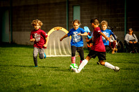 Action Shots Soccer Minis (16)