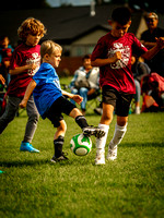 Action Shots Soccer Minis (17)