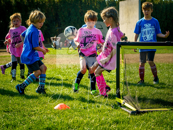 Action Shots Mini World Cup (18)