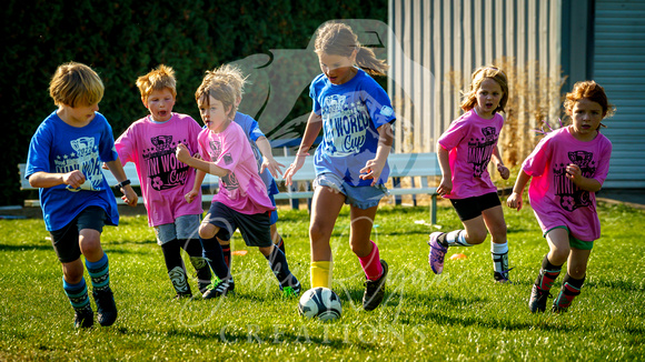 Action Shots Mini World Cup (20)