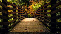 Bridge waundering Final Edit