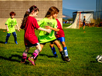 Action Shots Mini World Cup (8)