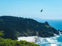 Coastline Views Final Edit