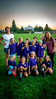 HRV Teams (5)