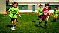 Action Shots Mini World Cup (11)